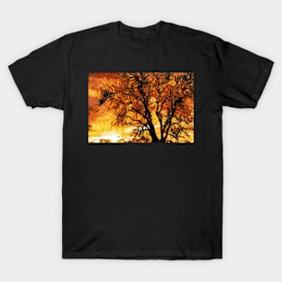 A Satisfied Mind T-Shirt